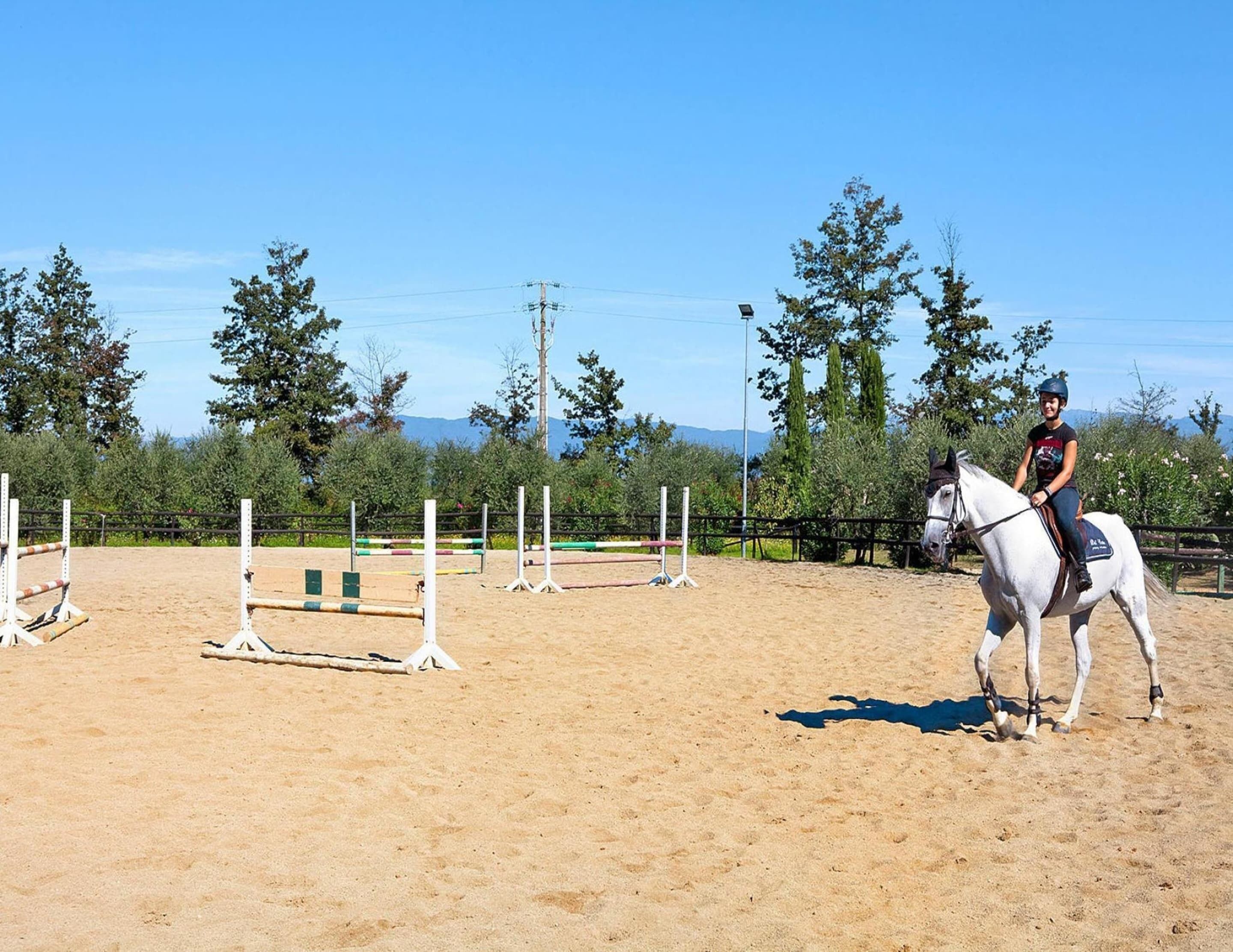 A horse and rider in an outdoor arena with jumps and a sandy ground.