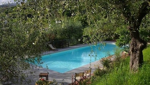 Una piscina rodeada de abundante vegetación, con una terraza y algunas sillas.