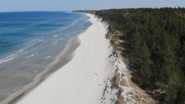 A beach with a sandy shore and dense forest on the right. - Spacious, 2-level Holiday Apartment (Kołobrzeg)