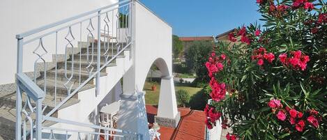 Apartment | Exterior