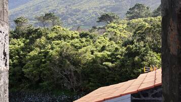 House | View from property