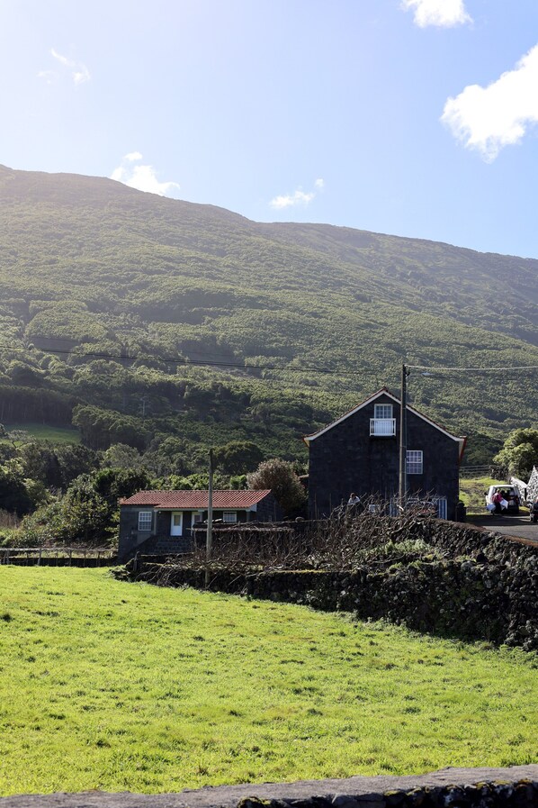 Property grounds - Comfortable Stone House in Pico (Sao Roque do Pico)