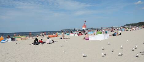 House | View from property