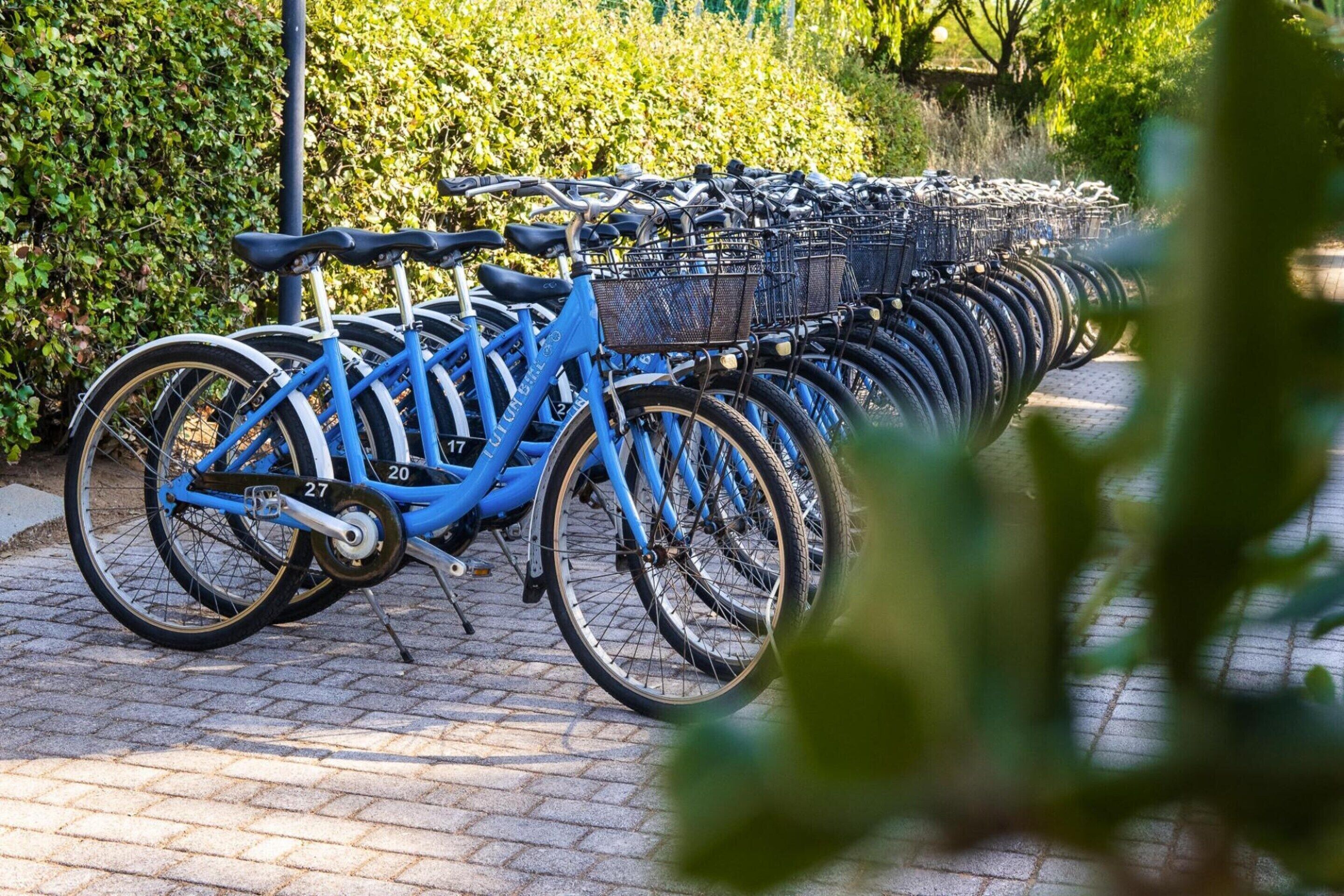 A row of blue bicycles with baskets, parked on a paved surface.