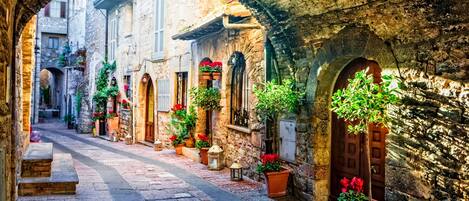 Apartment | 3 bedrooms, Internet