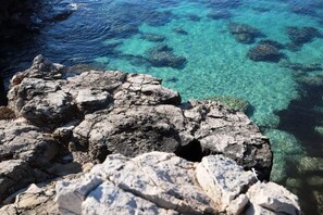 A rocky shoreline with clear water revealing submerged rocks.
