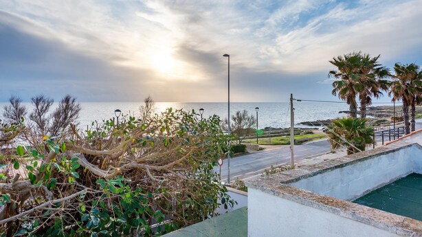 A coastal view with a pool, palm trees, and a street lamp.