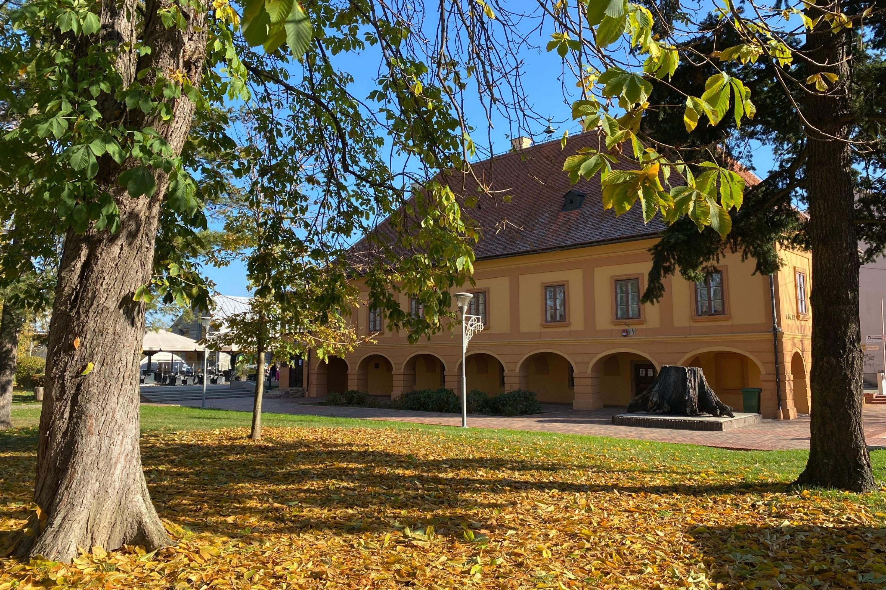 House | 4 bedrooms, Internet