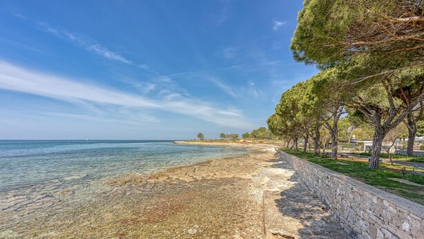 Ein Küstenweg mit einer Steinmauer an einer Seite und Bäumen an der anderen, der zu einem Strand führt.