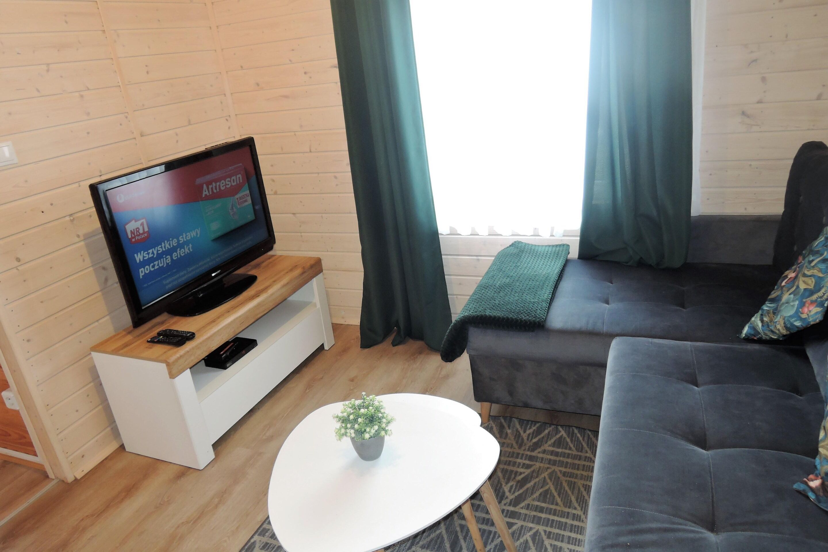 Una sala de estar con televisión, sofá, mesa de centro y planta en maceta.