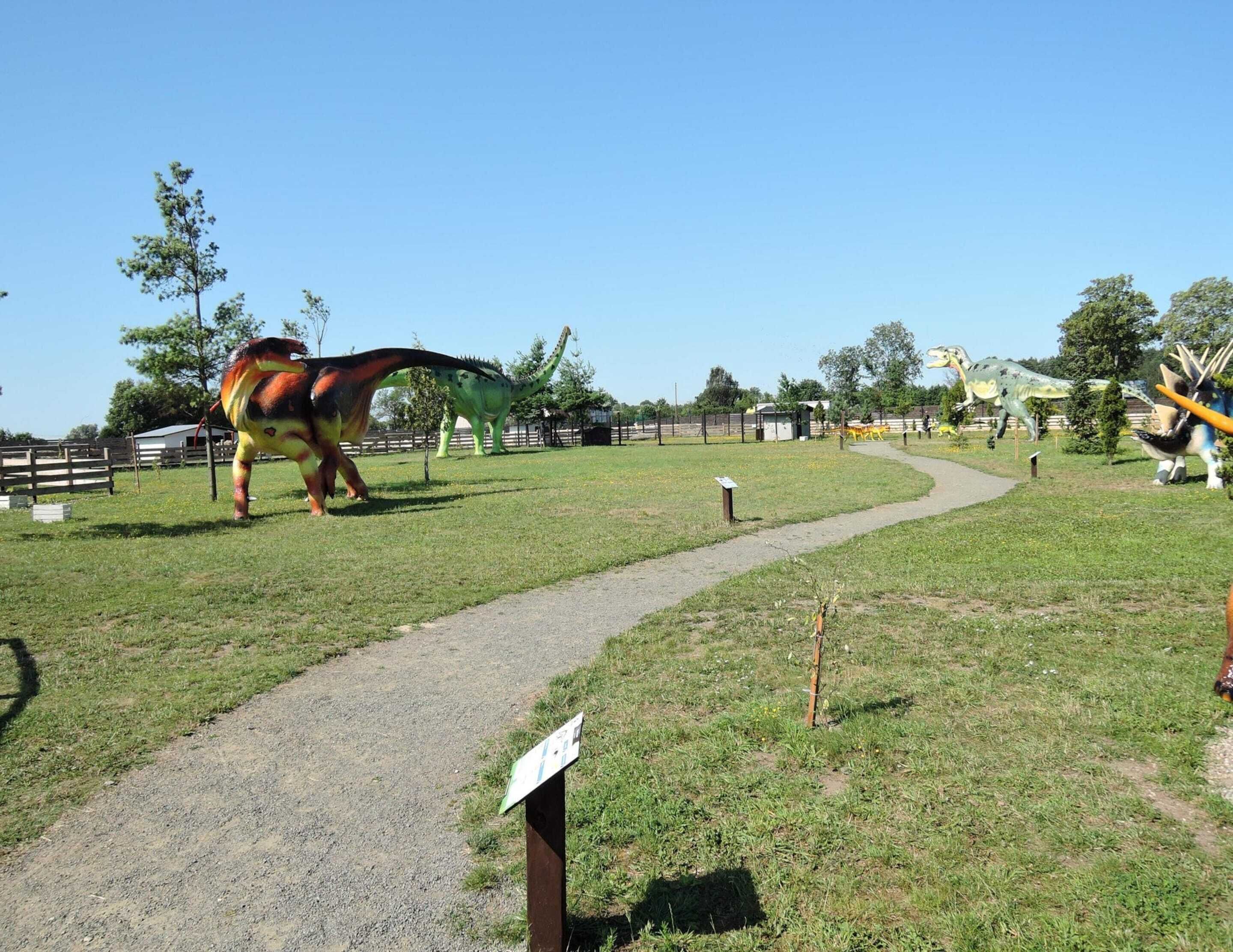 A dinosaur exhibit with a path leading through the display area.