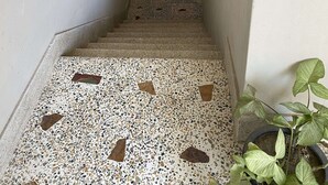 A narrow stairway with terrazzo flooring, a potted plant, and a utility box on the wall.