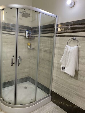 Shower, hair dryer, bidet, towels