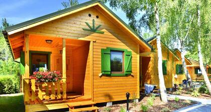 Holiday Homes, Close to the Seaside Beach