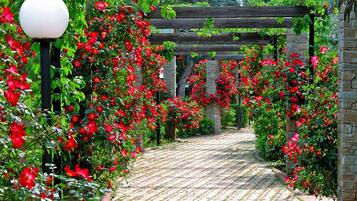 Bungalow | Außenbereich