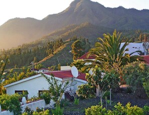 Departamento | Vista desde la propiedad