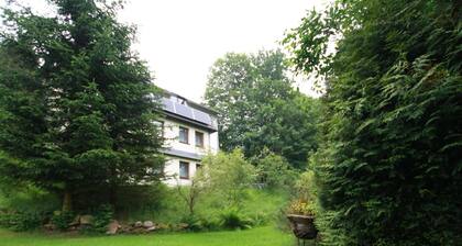 Ferienwohnung in Altenberg