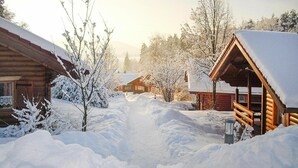 Une cabane en bois recouverte de neige, avec un chemin dégagé menant à celle-ci, entourée d’arbres chargés de neige.