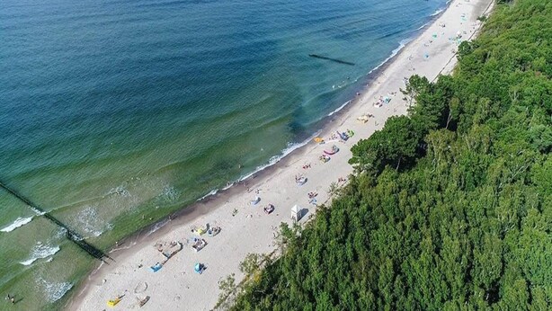 Eine Vogelperspektive zeigt einen Strand mit klarem Wasser, einem sandigen Ufer und dichter Vegetation an einer Seite.