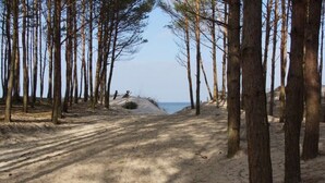 A sandy path leading to a beach, surrounded by tall trees. - Air-conditioned Holiday Homes, 2 Bedrooms (Mielno)