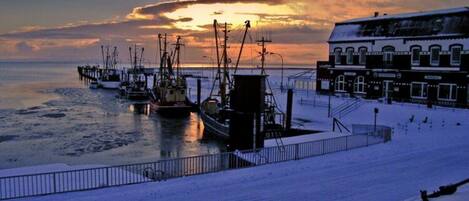 Appartement | Vue depuis l’hébergement