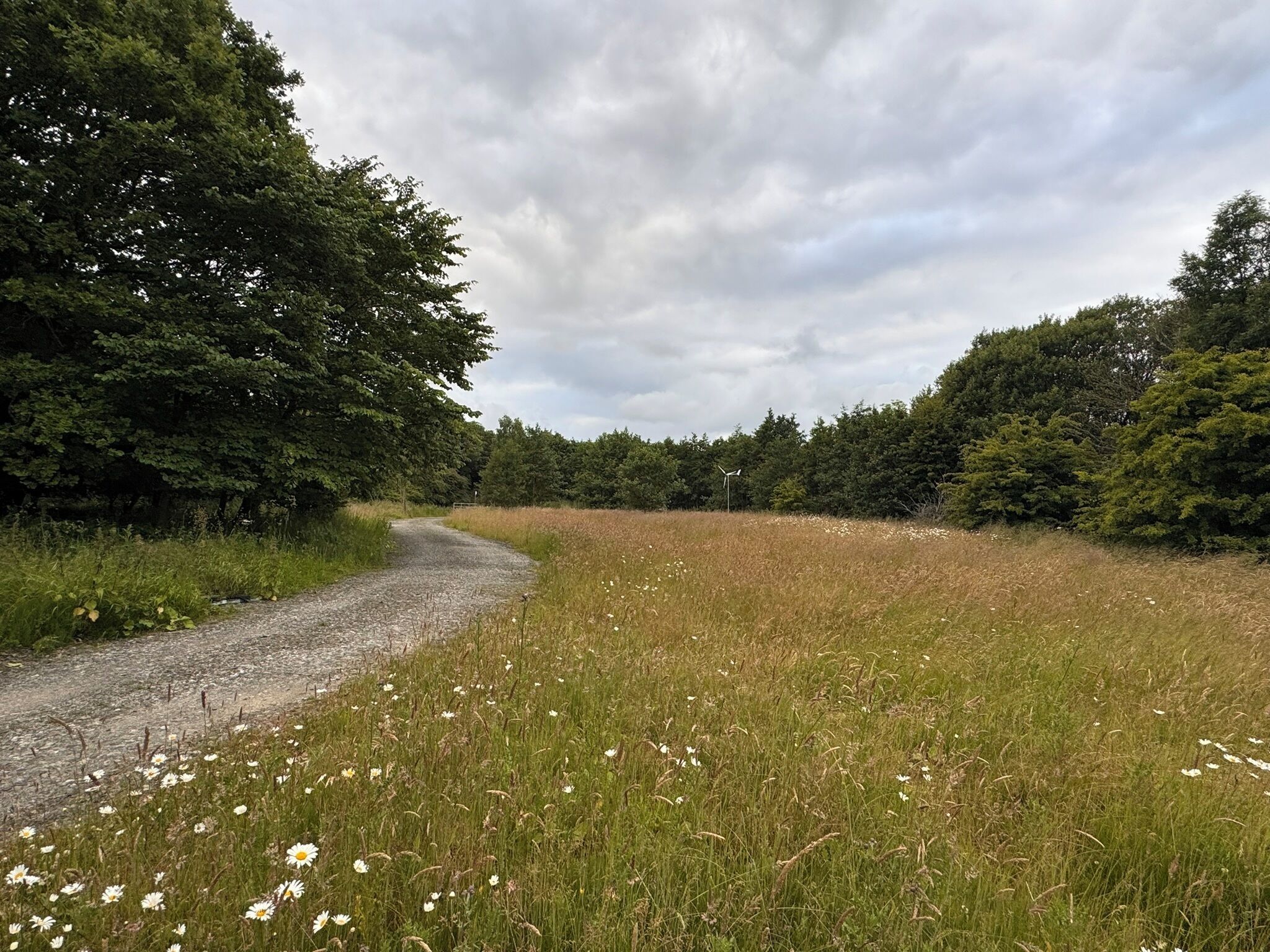 Our Retreat (1)