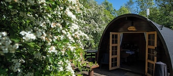Macallan, Off-Grid Cabin in Woods: Macallan. Pet Friendly!