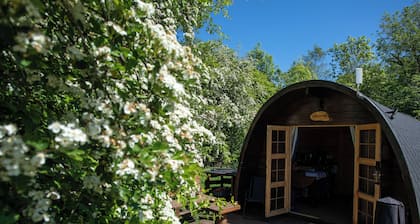 Macallan, Off-Grid Cabin in Woods: Macallan. Pet Friendly!
