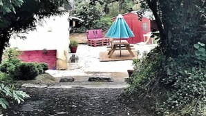 A garden area with a wooden swing set, a red shed, and a blue umbrella. - Un Séjour Nature au Coeur de L'histoire (Nonant)