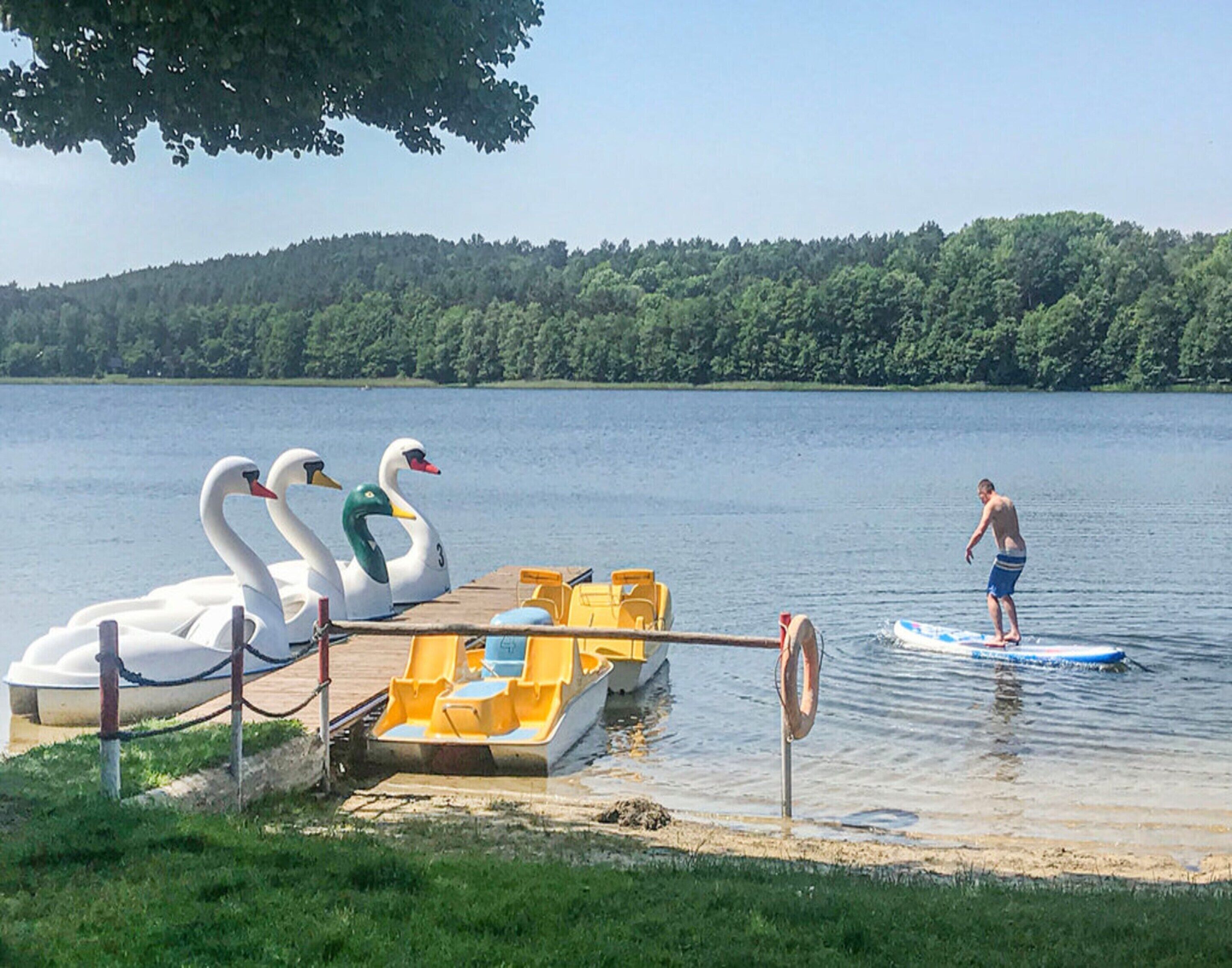 Escena en un lago con boyas con forma de cisne, un bote de remo y una persona sobre una tabla de surf.