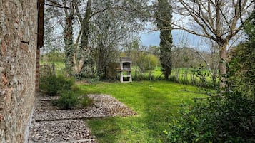 A stone pathway leading to a rustic outdoor area with a bird feeder and a brick wall.