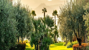 Jardín