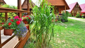 Une cabane en bois dotée d’un porche, entourée d’un jardin bien entretenu où l’on trouve diverses plantes et fleurs en pot.