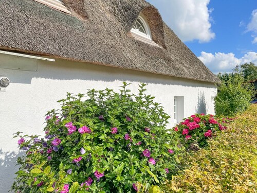 Charmantes Reetdachhaus in Lehe