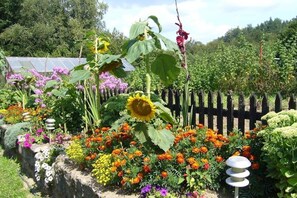 Villa | Außenbereich