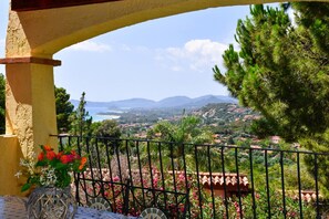 Vista desde la propiedad