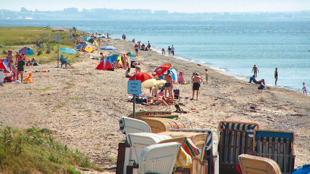 A beach with numerous tents and beach chairs, indicating a recreational area. - Ferienwohnung im Ferienhaus Rosi, Fehmarn-schlagsdorf (Fehmarn)