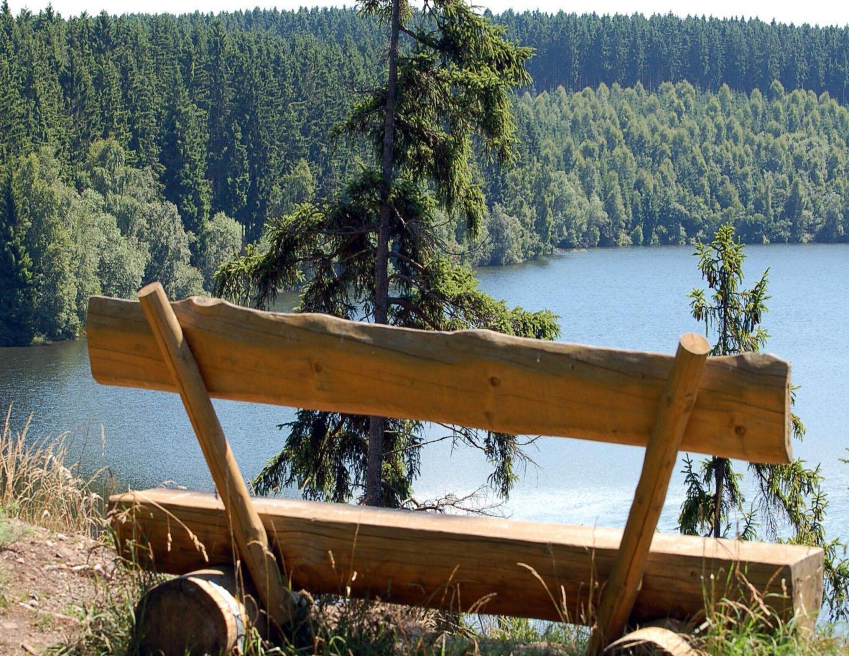 Een houten bankje met uitzicht op een meer, met een bos op de achtergrond.
