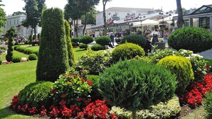 A well-maintained garden with various shrubs and flowers, a tall conical tree, and a building with a sign in the background. - Comfortable Apartment in Miedzyzdroje (Miedzyzdroje)