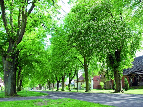 Ferienwohnung in der Mecklenburger Seenplatte
