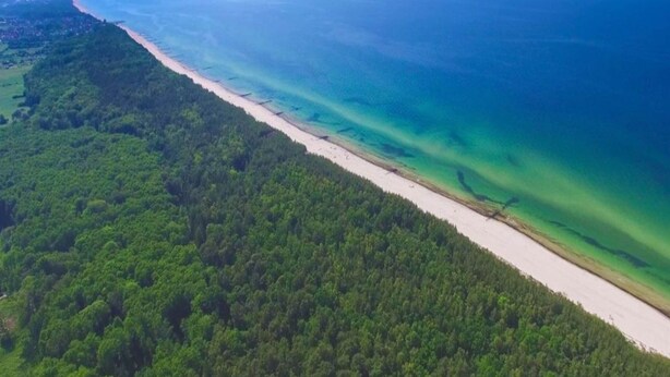 Eine Vogelperspektive eines Küstenbereichs mit Strand, dichtem Wald und freiem Blick auf den Ozean.