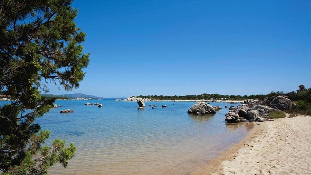 A beach with clear water, rocks, and a sandy shore. - Golfo Aranci Stay at Baia de Bahas (Golfo Aranci)