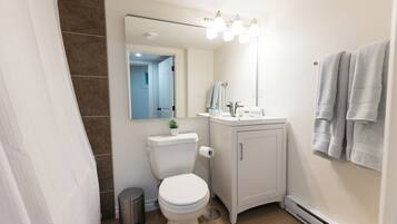 Hair dryer, towels, soap, shampoo