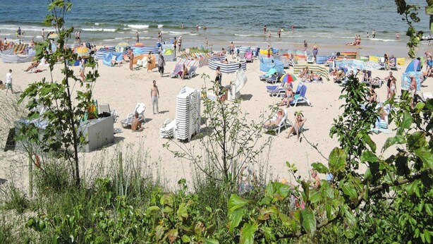 A beach with numerous sun loungers and umbrellas, a clear sky, and the ocean in the background. - Holiday Home in Lukecin Near Baltic Sea (Dziwnów)