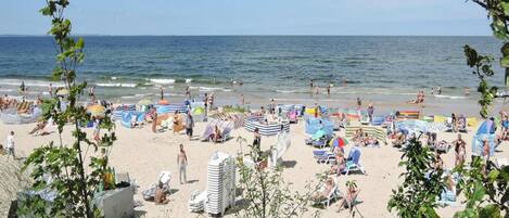 House | View from property