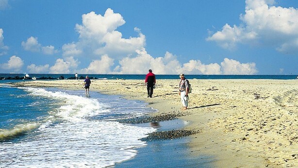 A sandy beach with people walking along the shore. - Residenz Seestern, Boltenhagen (Boltenhagen)
