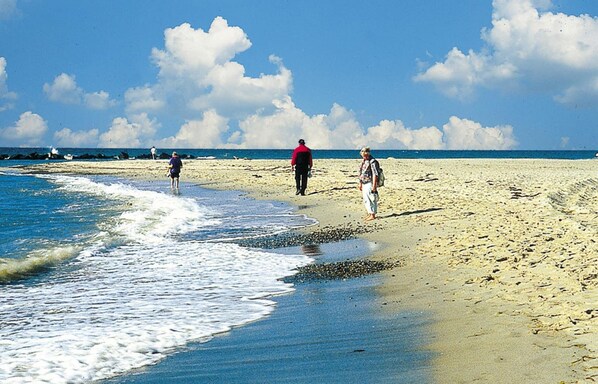 View from property - Residenz Seestern, Boltenhagen (Boltenhagen)