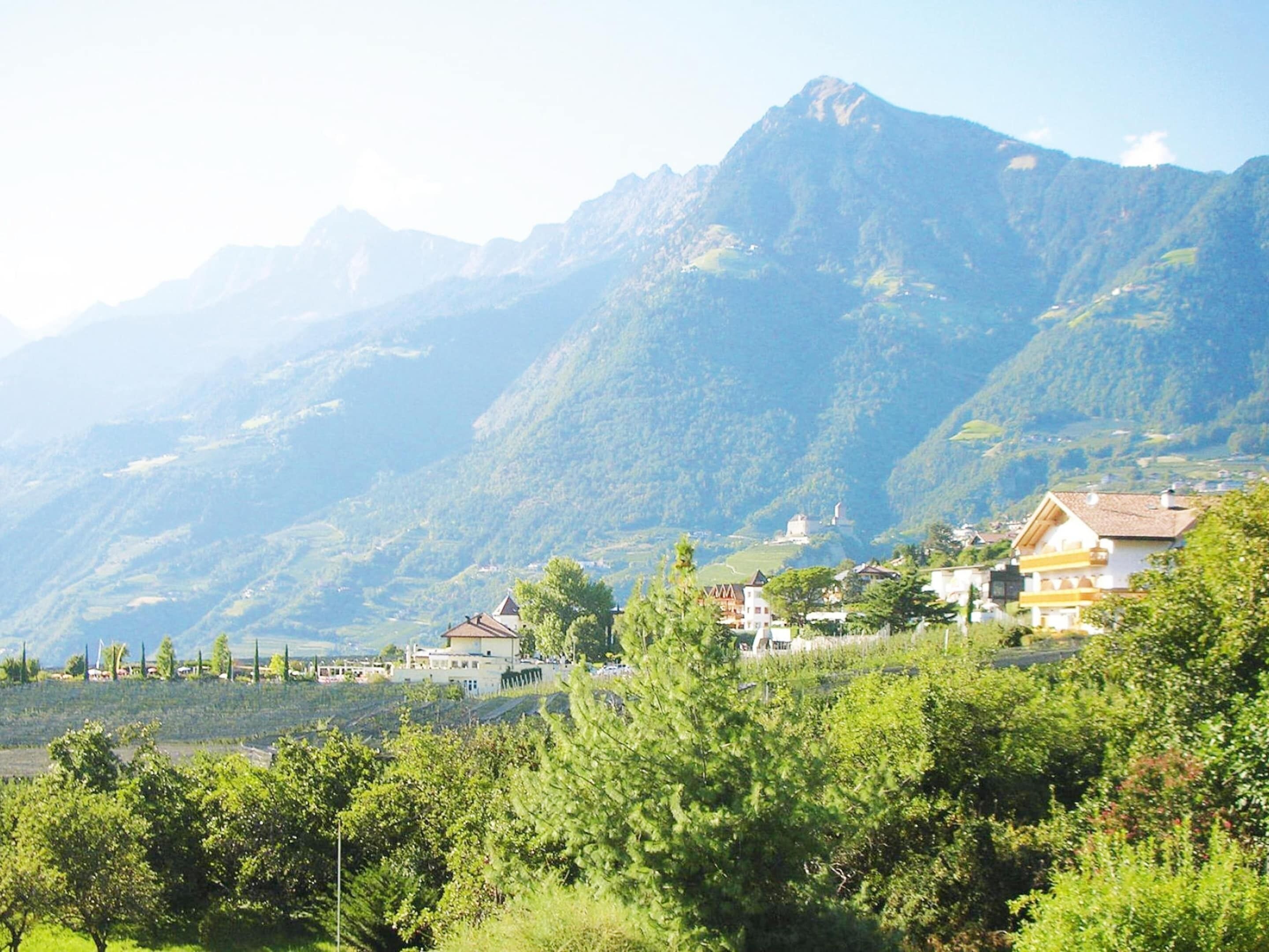 Un paysage montagneux parsemé de maisons et de vignobles.