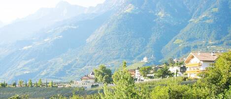 Un paysage montagneux parsemé de maisons et de vignobles.
