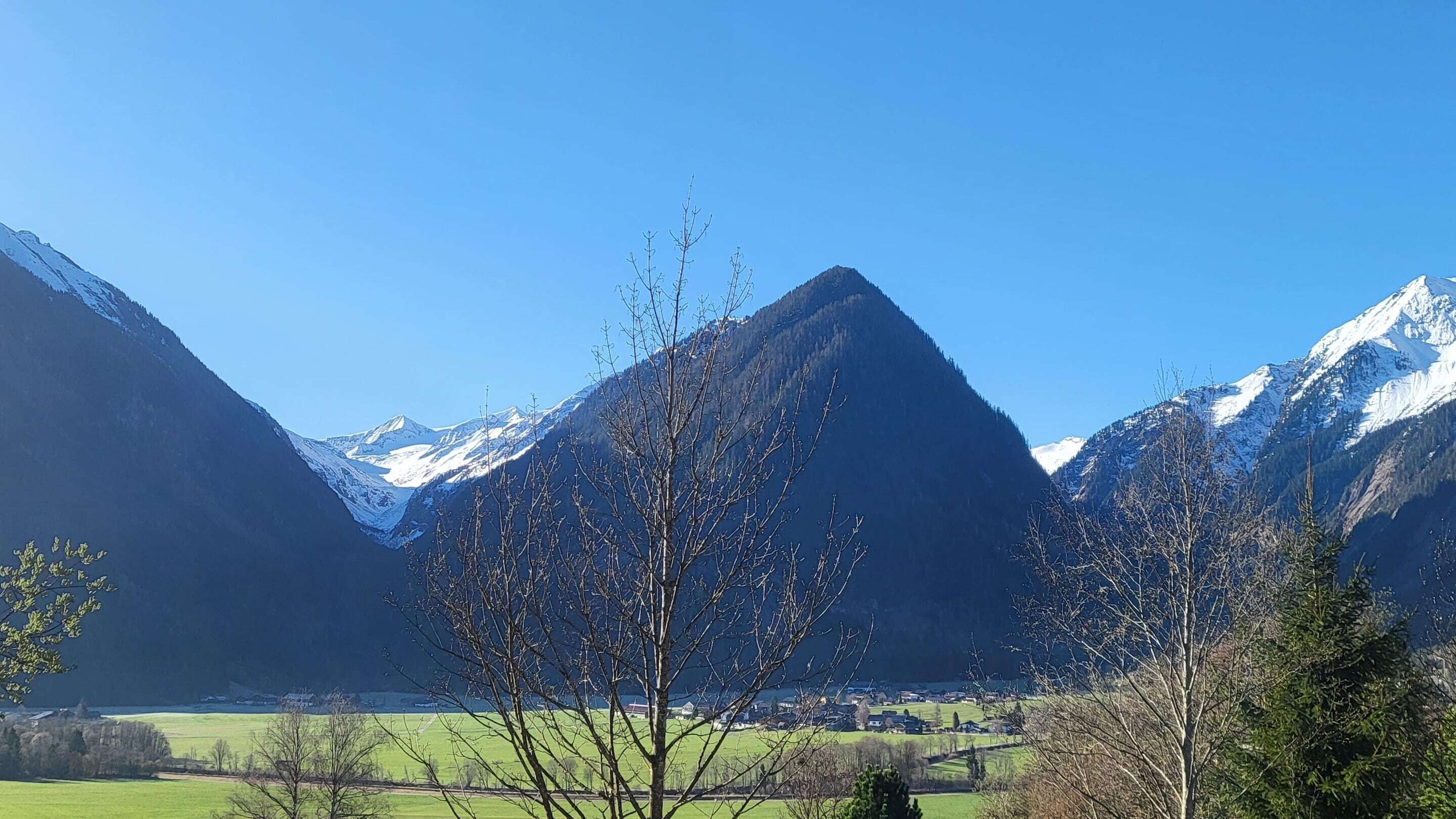 Berglandschap met besneeuwde toppen en een vallei met groene velden en enkele bomen.
